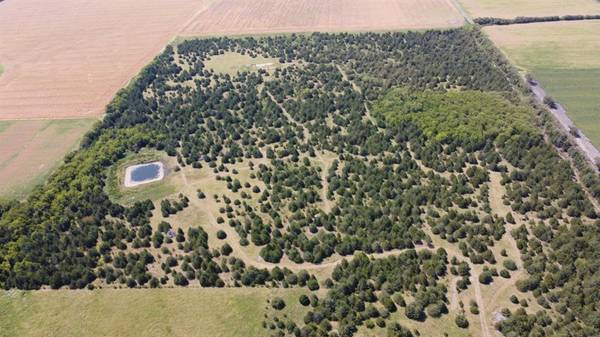 Lake Creek, TX 75450,TBD Fm 198