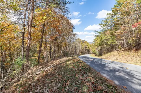 Mineral Bluff, GA 30559,Lot 1 Walker M. Sluder Farm Road