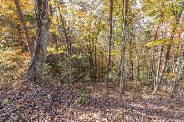 Mineral Bluff, GA 30559,Lot 1 Walker M. Sluder Farm Road