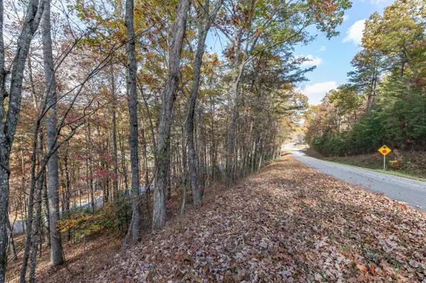 Mineral Bluff, GA 30559,Lot 1 Walker M. Sluder Farm Road