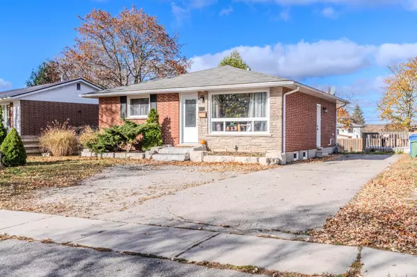 Guelph, ON N1G 2P2,12 Argyle DR #Lower