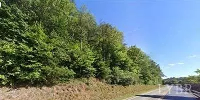 Fieldale, VA 24089,0 Appalachian DR #8.801ac