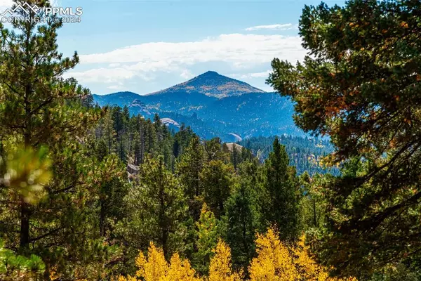 Florissant, CO 80816,2288 N Mountain Estates RD