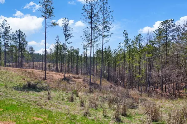 Talking Rock, GA 30175,Lot 150R Blalock Mountain Road