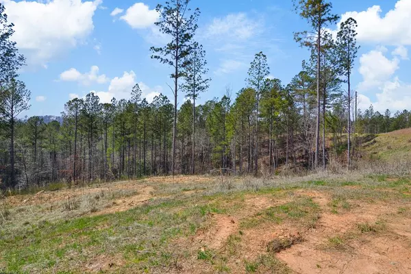 Talking Rock, GA 30175,Lot 150R Blalock Mountain Road