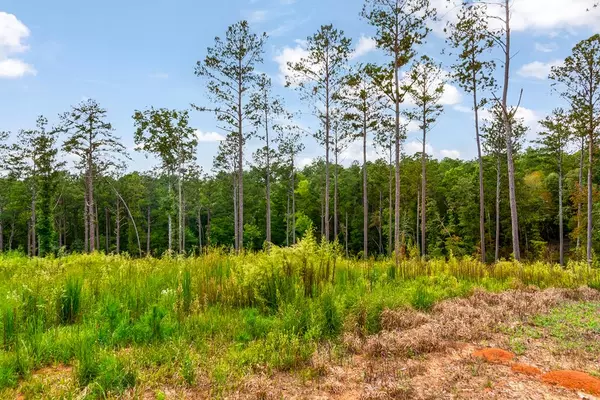 Talking Rock, GA 30175,Lot 92 Blalock Mountain Road