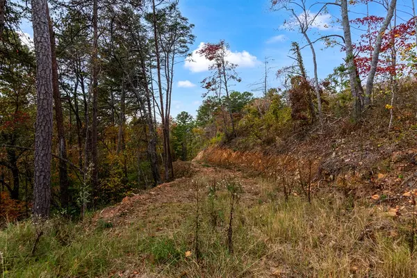 Talking Rock, GA 30175,Lot 269 Canoe Way