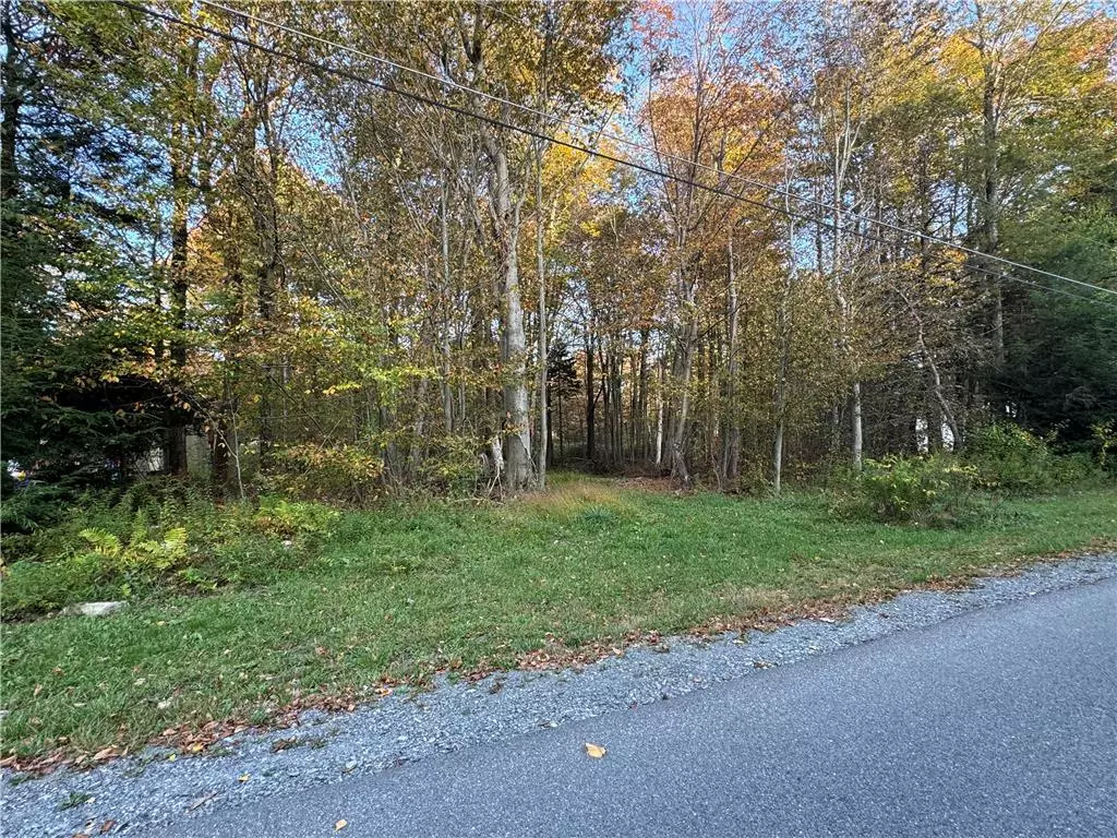 Coolbaugh Twp, PA 18466,407 David Drive