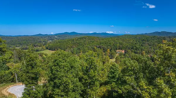 Mineral Bluff, GA 30559,Lot M2 Cherokee Ridge Run