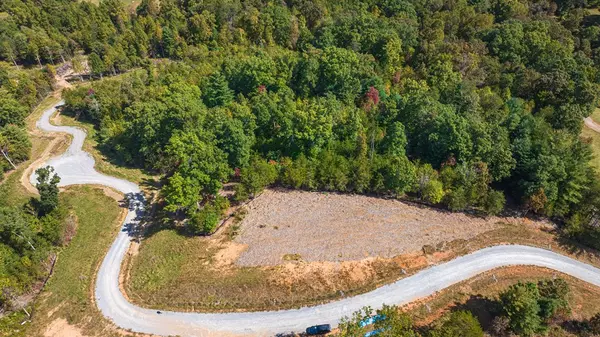 Mineral Bluff, GA 30559,Lot M2 Cherokee Ridge Run