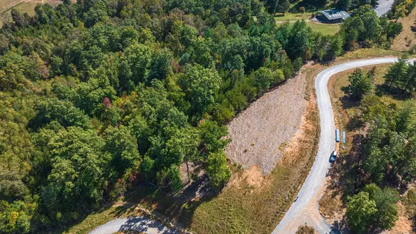 Mineral Bluff, GA 30559,Lot M2 Cherokee Ridge Run