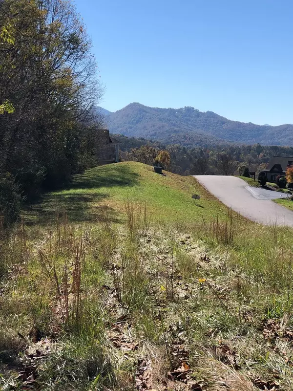 Hayesville, NC 28904,TBD Meadow Ridge Drive