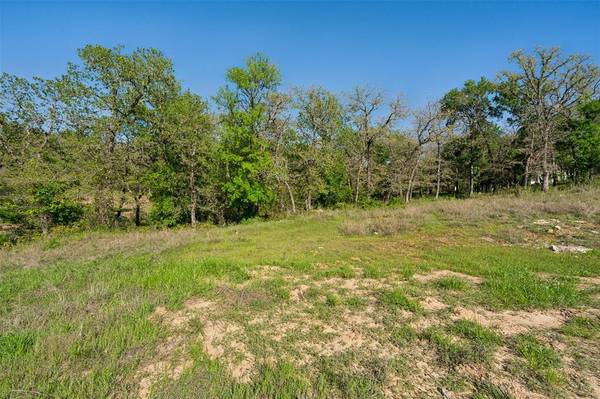 TBD Sugartree Drive, Lipan, TX 76462