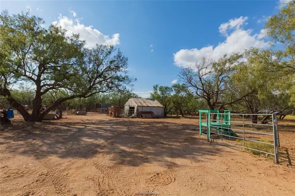 Trent, TX 79561,TBD COUNTY ROAD 611