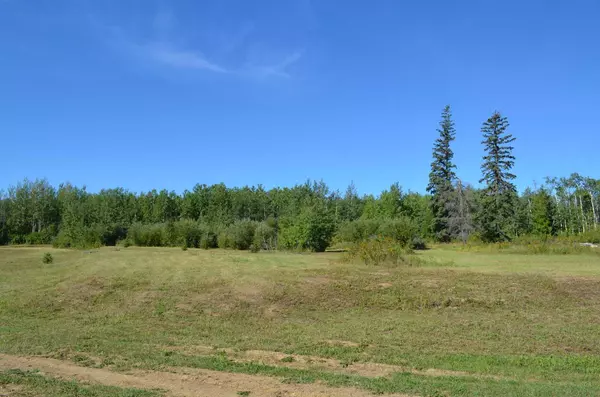 Rural Athabasca County, AB T9S 2B5,46-655062 Range Road 224