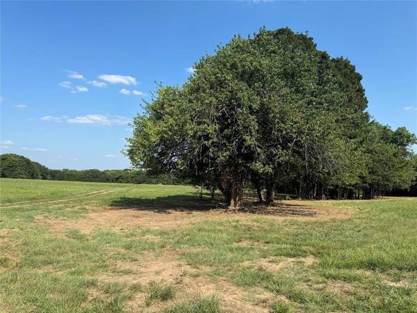 Pottsboro, TX 75076,Lot 55 Spout Springs Road