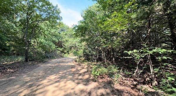 Pottsboro, TX 75076,Lot 55 Spout Springs Road