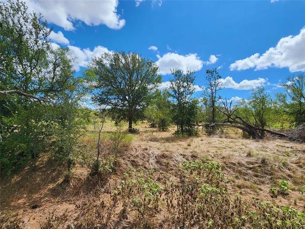 Cross Plains, TX 76443,TBD Tx-279