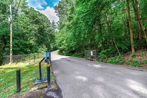 Ellijay, GA 30540,Lot 13 Shady Pine Trail