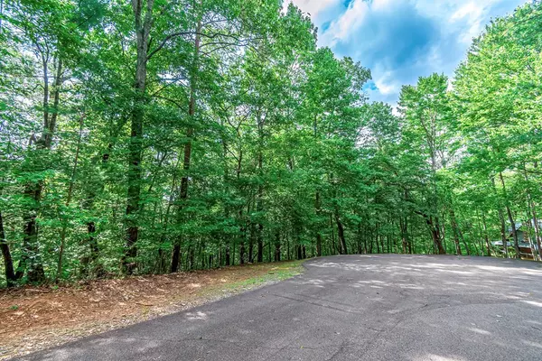 Ellijay, GA 30540,Lot 13 Shady Pine Trail