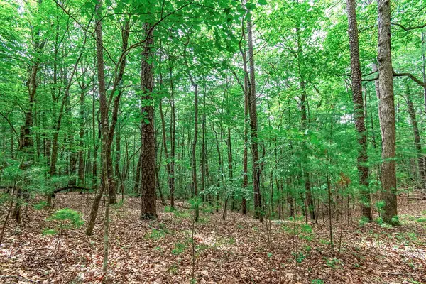 Ellijay, GA 30540,Lot 13 Shady Pine Trail