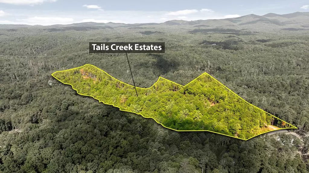 0 Tails Creek Overlook, Ellijay, GA 30540