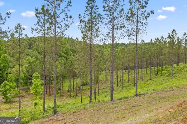 Talking Rock, GA 30175,Lot 306 Highgrove Drive