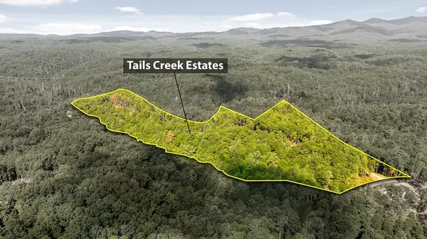 Ellijay, GA 30540,0 Tails Creek Overlook