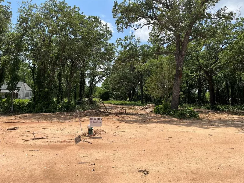 421 Peace Lily Way, Tolar, TX 76476