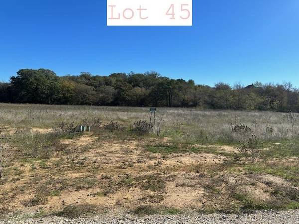 Lot 45 Sportsman Drive, Santo, TX 76067