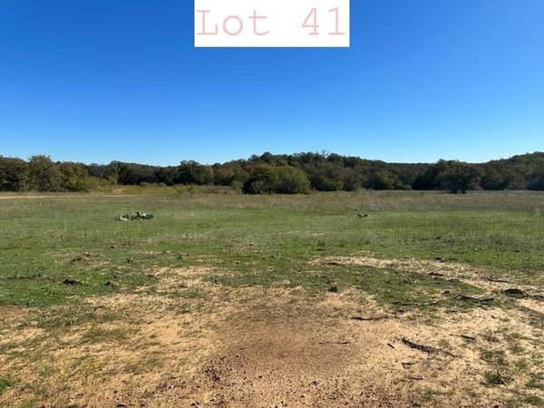 Lot 41 Sportsman Drive, Santo, TX 76067