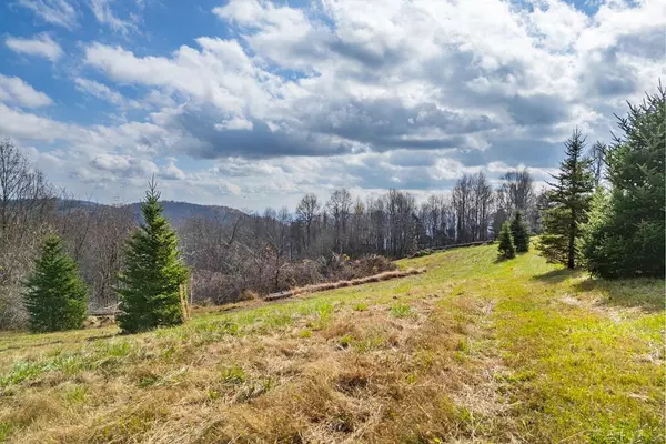 TBD Dogwood Ridge, Fancy Gap, VA 24328