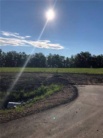 Plamondon, AB T0A 2T0,Lot 18 Campsite Road