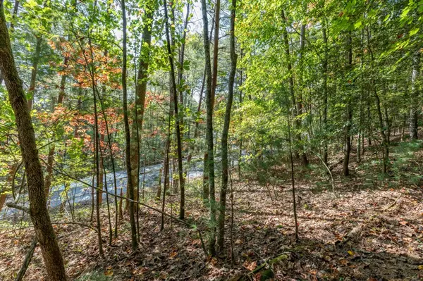 Blue Ridge, GA 30513,Lot 71 Laurel Crossing