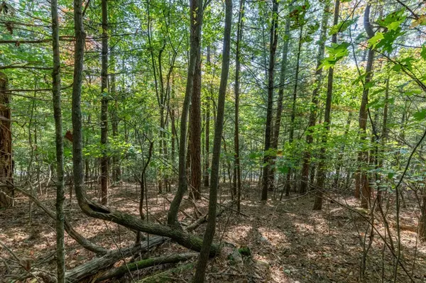 Blue Ridge, GA 30513,Lot 71 Laurel Crossing