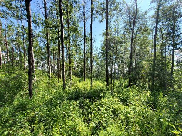 Plamondon, AB T0A 2T0,Lot 4 Campsite Road