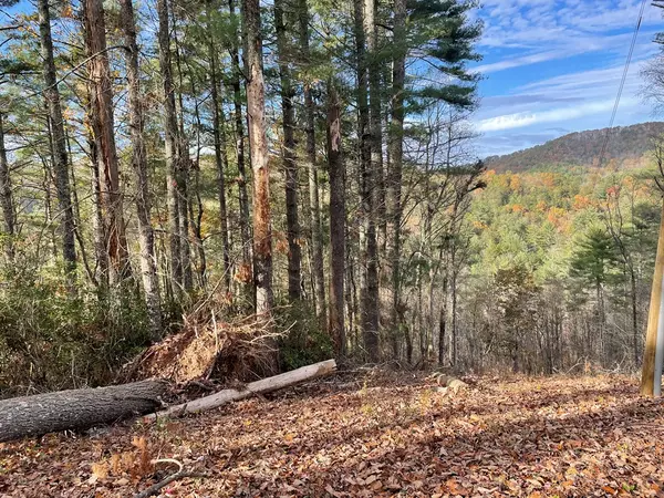 Blue Ridge, GA 30513,1.9 Acre Bell Camp Ridge Road