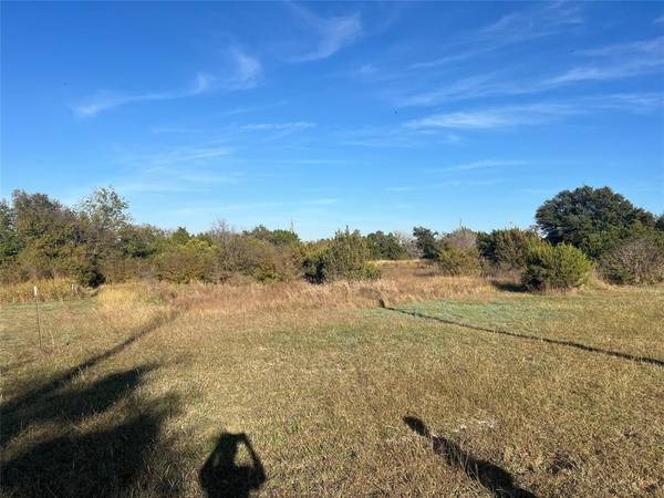 TBD County Road 2006, Glen Rose, TX 76043