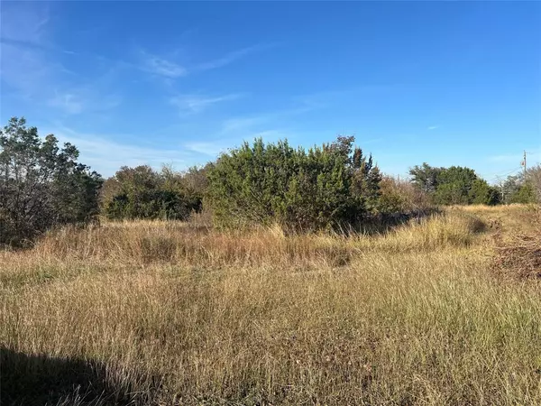 Glen Rose, TX 76043,TBD County Road 2006