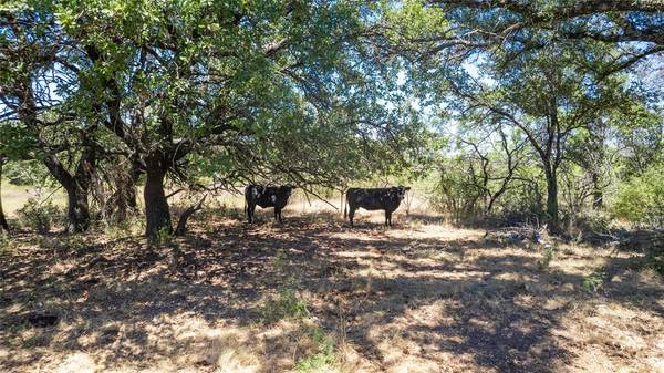 Blanket, TX 76432,6490 County Road 334