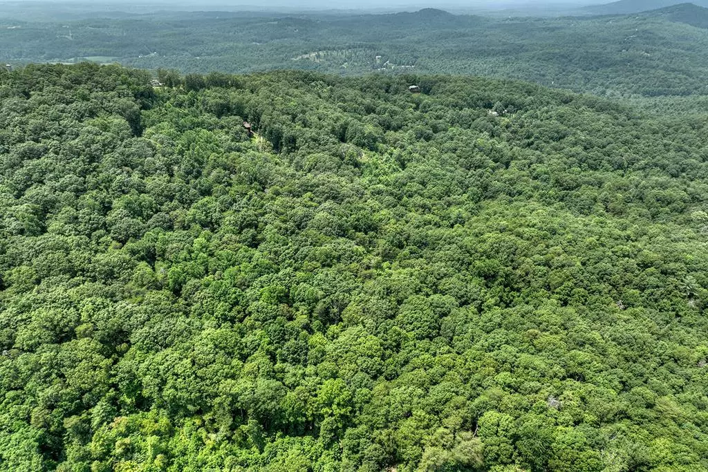 Mineral Bluff, GA 30559,7.89 AC Laurel Springs Road