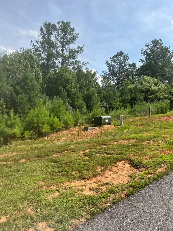 Blairsville, GA 30512,lot 386 MARSHALL RISE