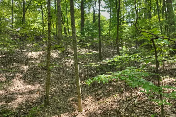 Mineral Bluff, GA 30559,7.89 AC Laurel Springs Road