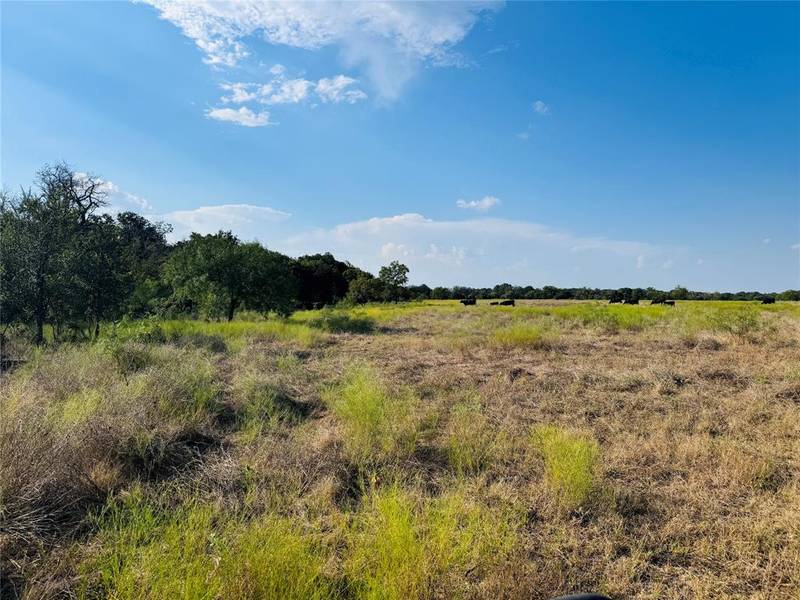 13301 County Road 291 #Tract 1, Zephyr, TX 76890