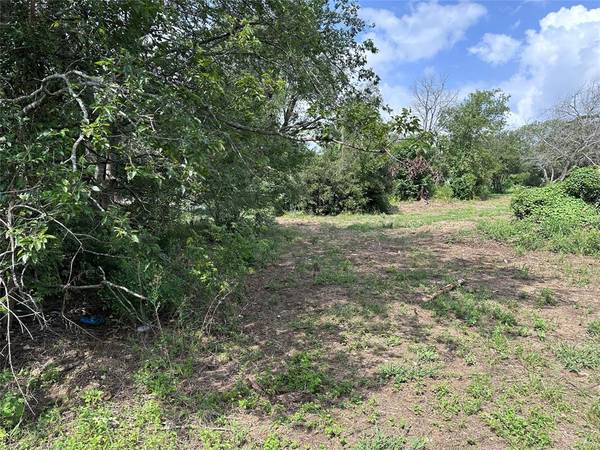 Clifton, TX 76634,TBD County Road 1772 #109A