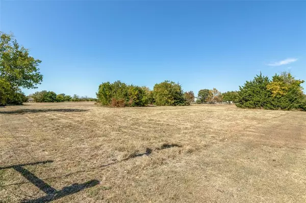 Anna, TX 75409,TBD Twin Creeks Circle