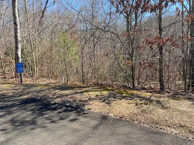 Ellijay, GA 30540,Lot 119 Tranquility @ Carters Lake