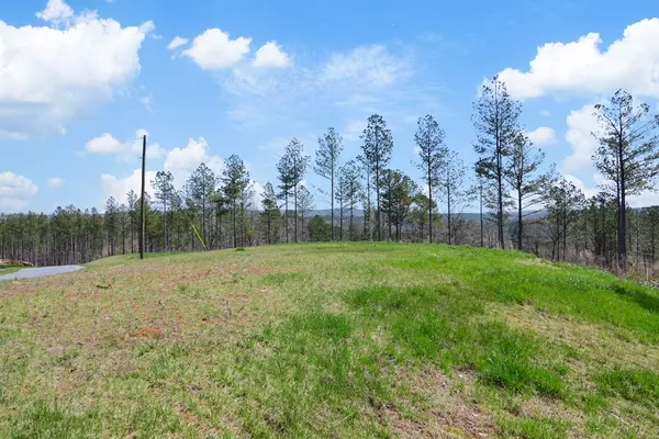 Talking Rock, GA 30175,Lot 195 Blalock Mountain Road