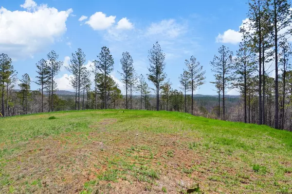 Talking Rock, GA 30175,Lot 195 Blalock Mountain Road