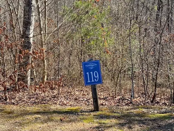 Ellijay, GA 30540,Lot 119 Tranquility @ Carters Lake